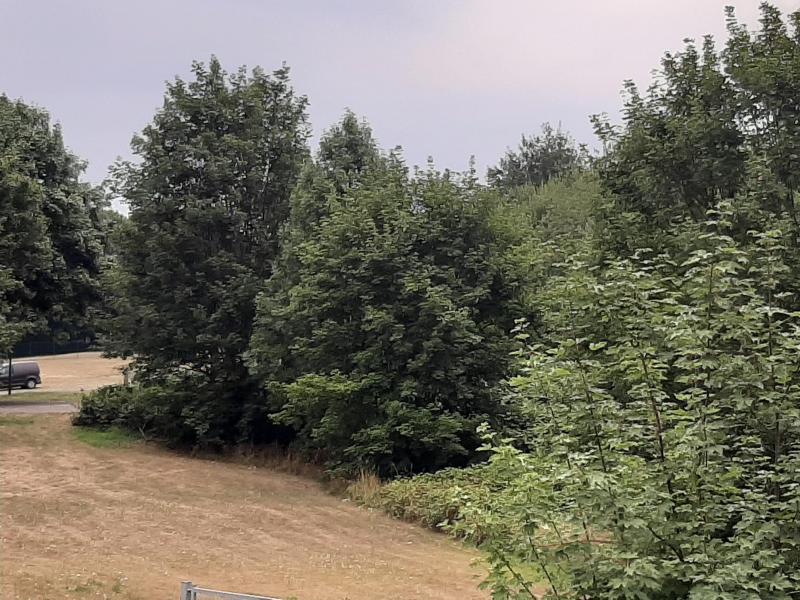 Saniertes Haus in Kelmis, Krickelstein in 4720 Kelmis 