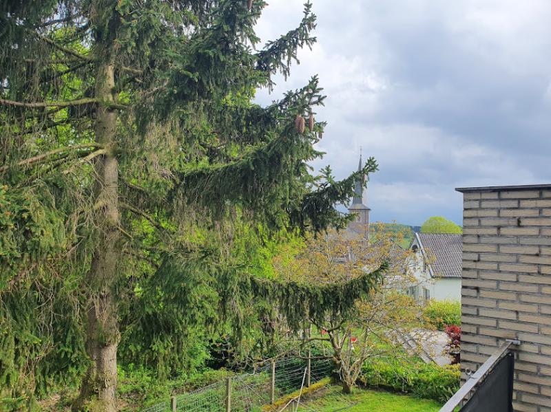 Appartement lumineux et spacieux à Hergenrath située à 4728 Hergenrath 