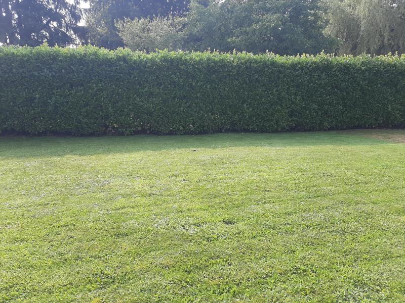 Appartement soigné à proximité de la frontière  située à 4731 Eynatten 