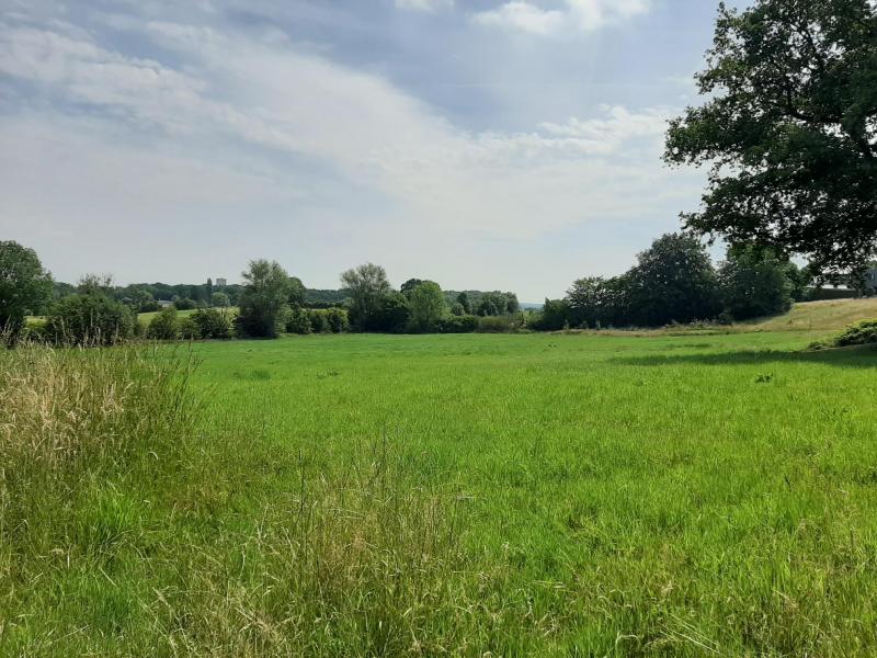Wiese in Walhorn zu verkaufen in 4711 Walhorn