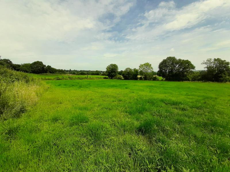 Wiese in Walhorn zu verkaufen in 4711 Walhorn
