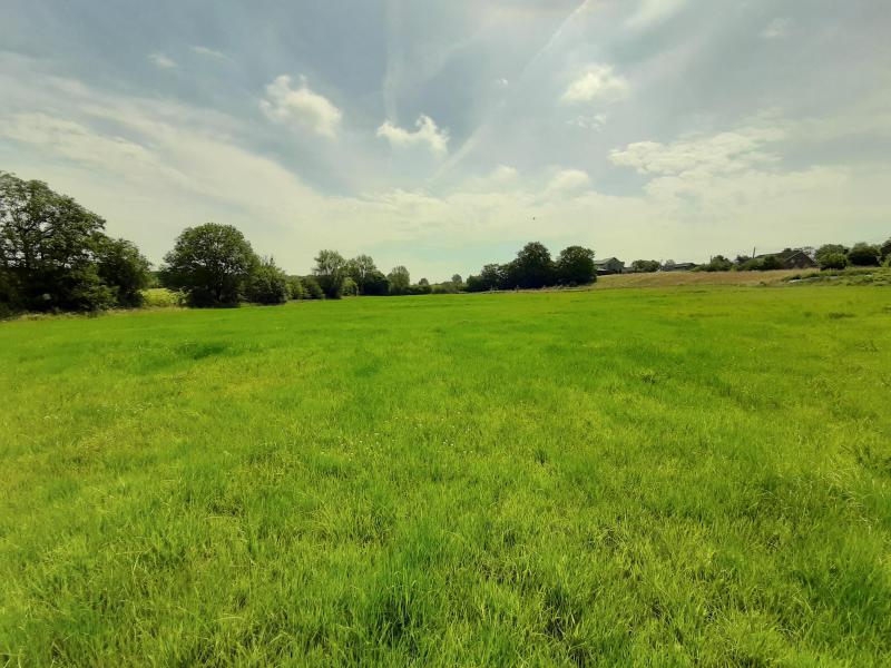 Wiese in Walhorn zu verkaufen in 4711 Walhorn