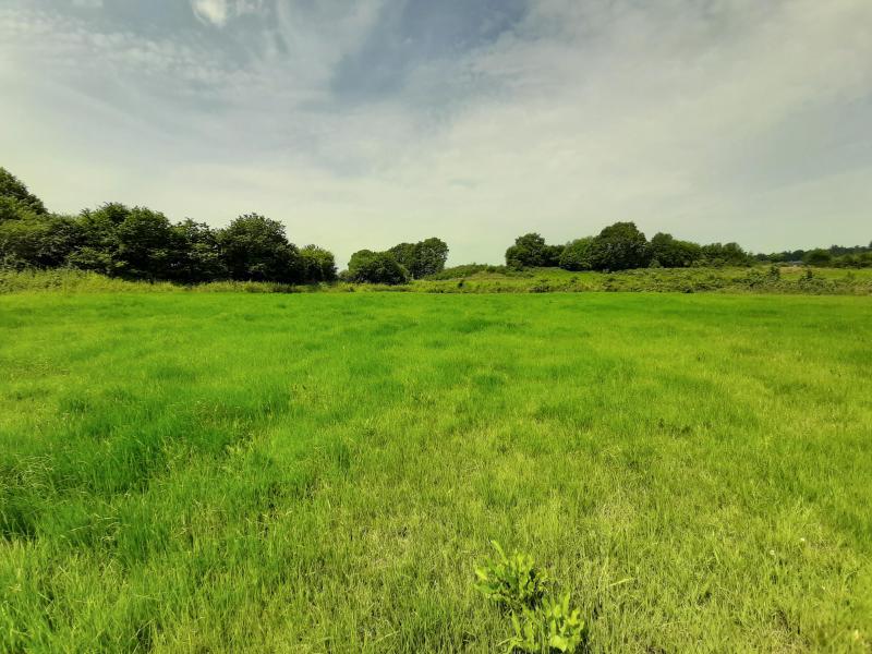 Wiese in Walhorn zu verkaufen in 4711 Walhorn