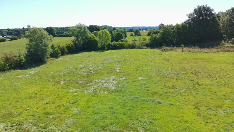 Wiese in Walhorn zu verkaufen in 4711 Walhorn