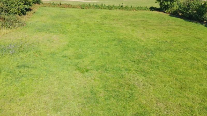 Wiese in Walhorn zu verkaufen in 4711 Walhorn