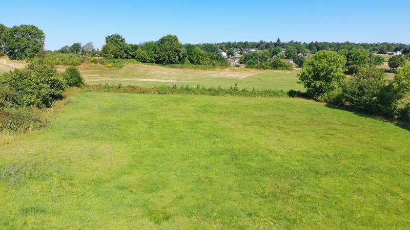 Wiese in Walhorn zu verkaufen in 4711 Walhorn