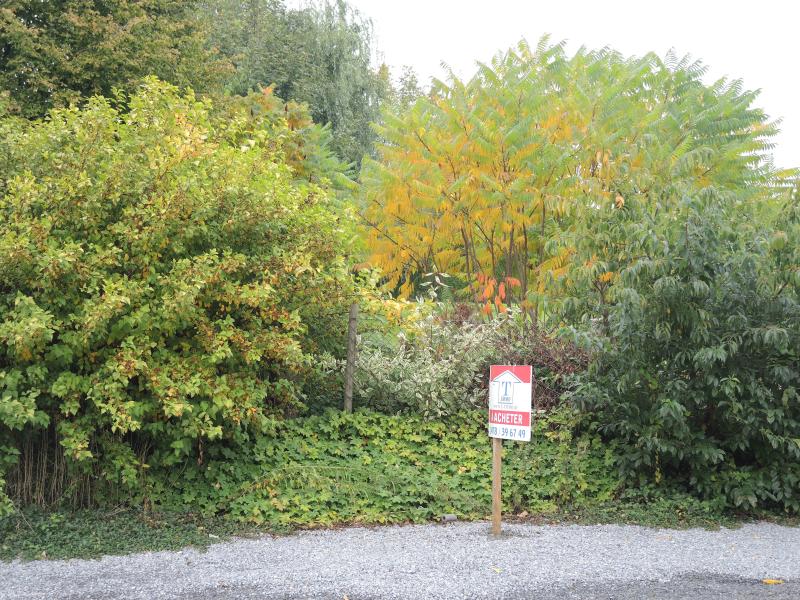 Grosszügig geschnittenes Baugrundstück in Montzen in 4850 Montzen 