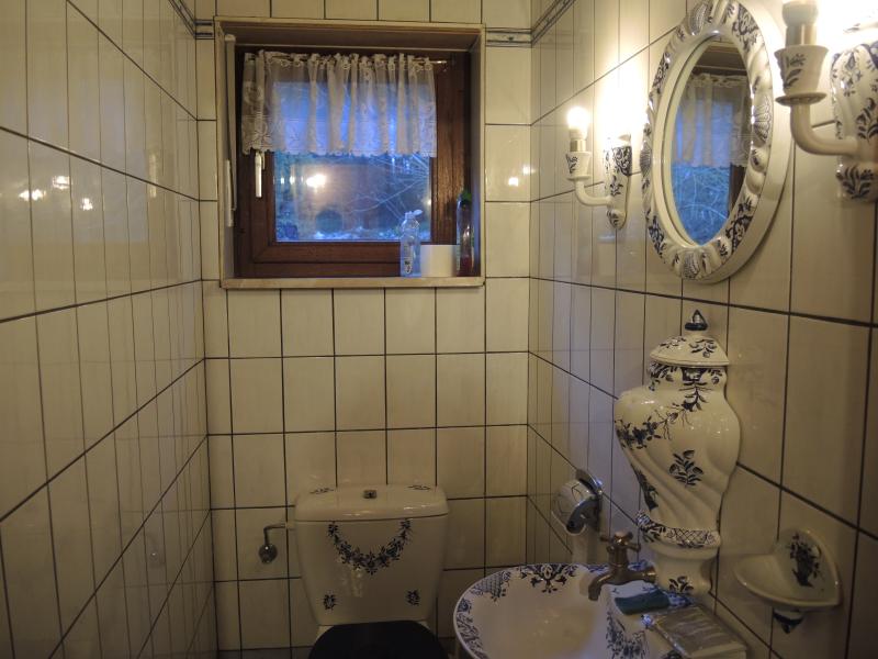 Schönes grosses Einfamilienhaus im Bungalowstil in Recht in Bergstrasse 168 in 4780 Recht 