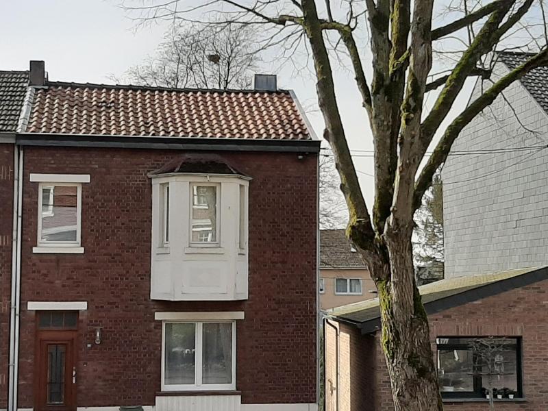 Maison à 3 façades, depuis le hall d'entrée avec WC visiteurs, on accède à l'espace de séjour avec salon, cuisine spacieuse et vue sur le jardin.
Au premier étage se trouvent deux chambres à coucher spacieuses, la salle de bain avec lavabo, mobilier et baignoire combinée avec douche. 
Un escalier fixe permet d'accéder au deuxième étage, actuellement utilisé comme grenier.
Double vitrage, chauffage central au gaz, complet sous cave avec accès au jardin, abri de jardin en maçonnerie.
Également accès latéral au jardin.
Revenu net cadastral : 374 €.

