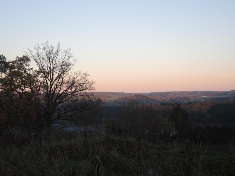 Terrain à bâtir de 1.167,76 m² à Gouvy située à 6671 Gouvy, Honvelez 