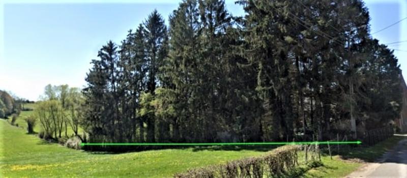 Baugrundstück Baelen, Nehret mit atemberaubendem Weitblick in 4837 Baelen