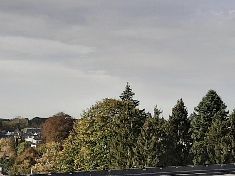 Hochwertiges Appartement in guter Lage in 4700 Eupen