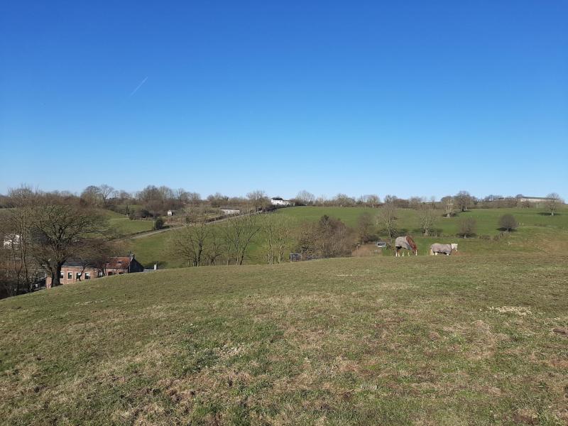 Wunderschöne Bauparzelle in Thimister-Clermont in 4890 Thimister - Clermont