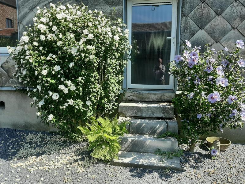 Renoviertes Appartement in Zentrumsnähe von Welkenraedt in 4840 Welkenraedt | Appartement mit 1 SZ