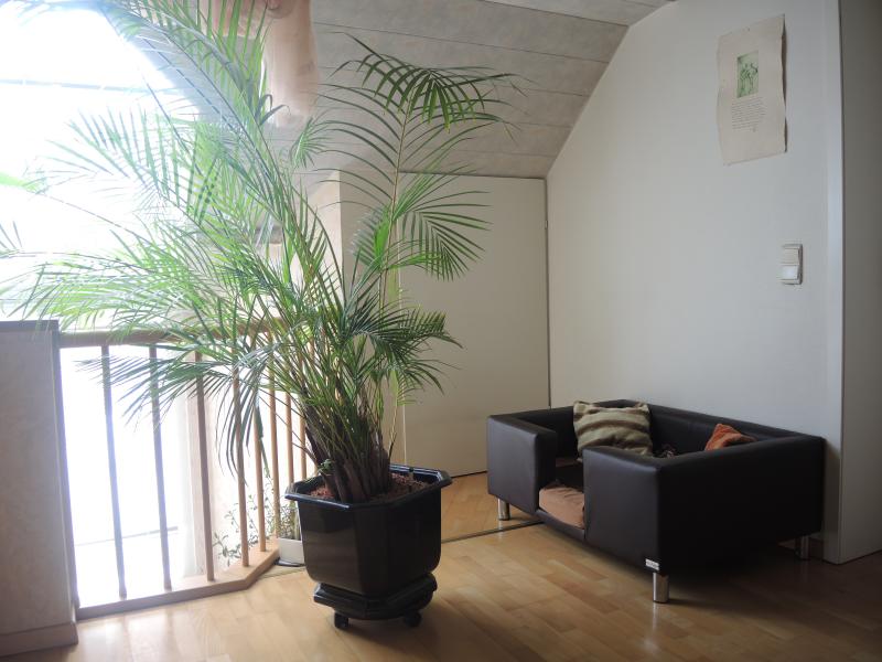 Üppig ausgestattetes Einfamilienhaus in Montzen Nähe Aachen in 4850 Montzen