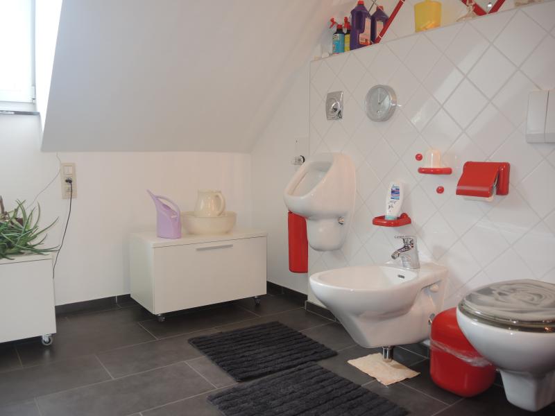 Üppig ausgestattetes Einfamilienhaus in Montzen Nähe Aachen in 4850 Montzen