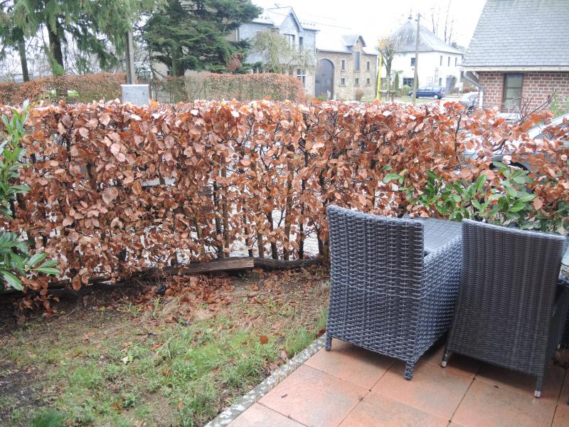 Modernes Appartement im EG mit vielen Extras in 4761 Rocherath, Wahlscheider Str.13