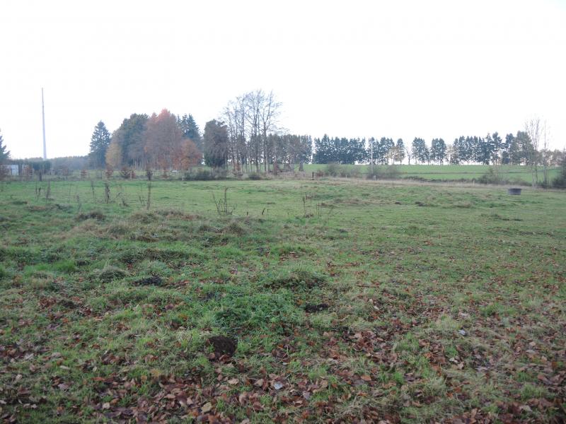 Baugrundstück von 1.167,76 m² in Gouvy in 6671 Gouvy, Honvelez